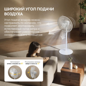 Купить Deerma DEM-FD12W-09.png